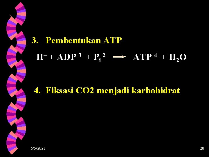 3. Pembentukan ATP H+ + ADP 3 - + Pi 2 - ATP 4