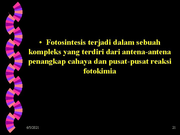  • Fotosintesis terjadi dalam sebuah kompleks yang terdiri dari antena-antena penangkap cahaya dan