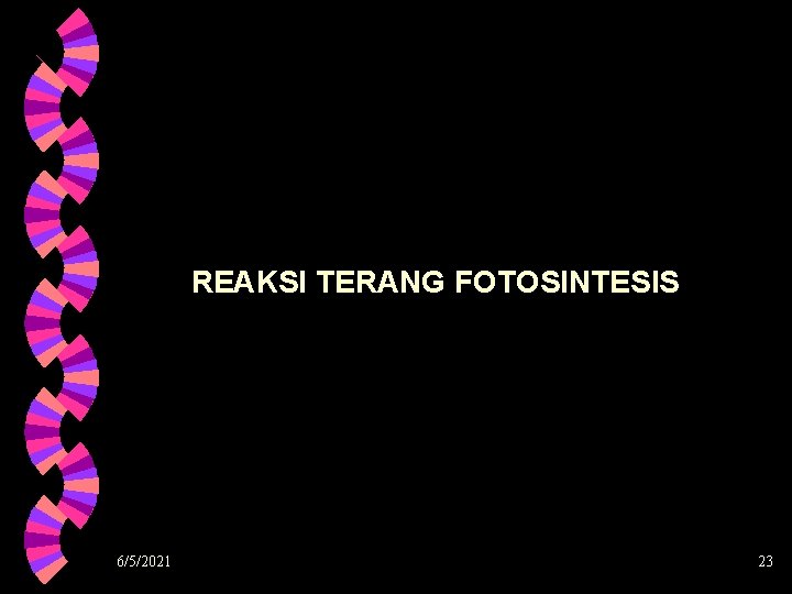 REAKSI TERANG FOTOSINTESIS 6/5/2021 23 