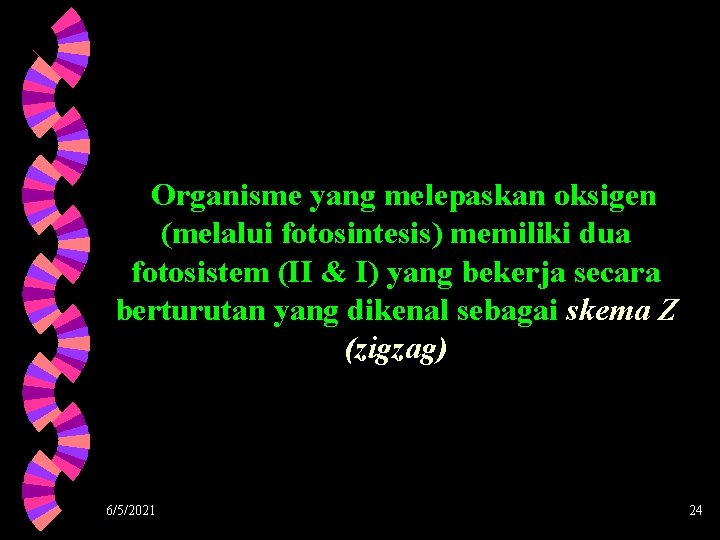 Organisme yang melepaskan oksigen (melalui fotosintesis) memiliki dua fotosistem (II & I) yang bekerja