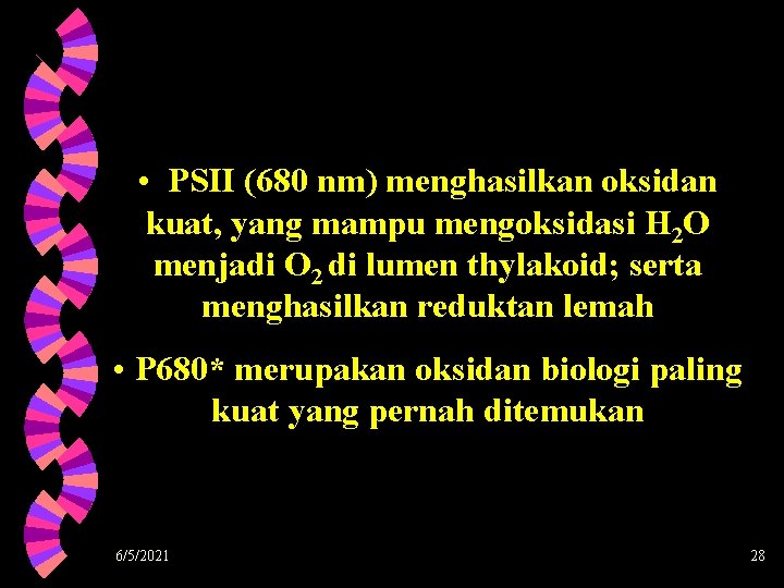  • PSII (680 nm) menghasilkan oksidan kuat, yang mampu mengoksidasi H 2 O