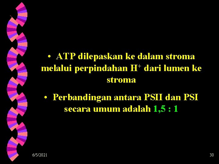  • ATP dilepaskan ke dalam stroma melalui perpindahan H+ dari lumen ke stroma
