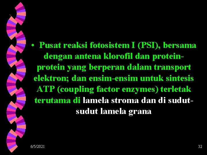  • Pusat reaksi fotosistem I (PSI), bersama dengan antena klorofil dan protein yang