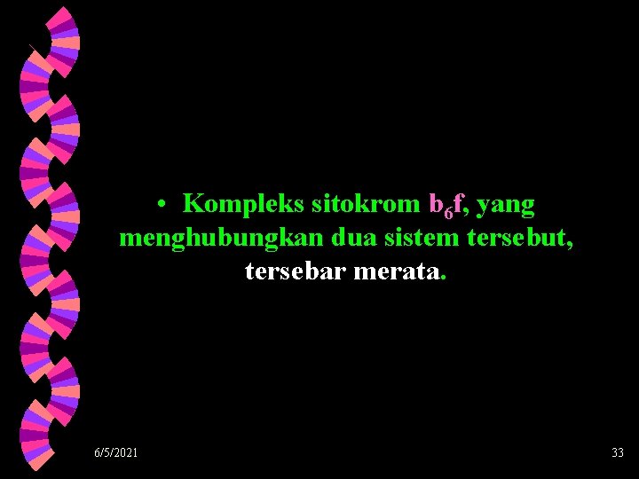  • Kompleks sitokrom b 6 f, yang menghubungkan dua sistem tersebut, tersebar merata.