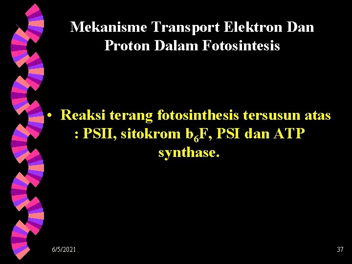 Mekanisme Transport Elektron Dan Proton Dalam Fotosintesis • Reaksi terang fotosinthesis tersusun atas :