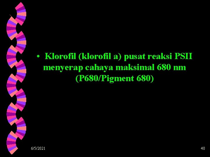  • Klorofil (klorofil a) pusat reaksi PSII menyerap cahaya maksimal 680 nm (P