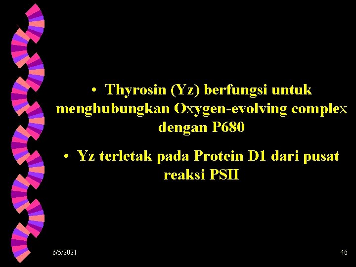  • Thyrosin (Yz) berfungsi untuk menghubungkan Oxygen-evolving complex dengan P 680 • Yz