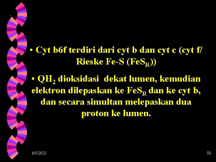  • Cyt b 6 f terdiri dari cyt b dan cyt c (cyt