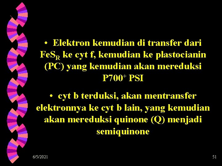  • Elektron kemudian di transfer dari Fe. SR ke cyt f, kemudian ke