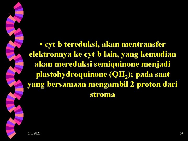  • cyt b tereduksi, akan mentransfer elektronnya ke cyt b lain, yang kemudian