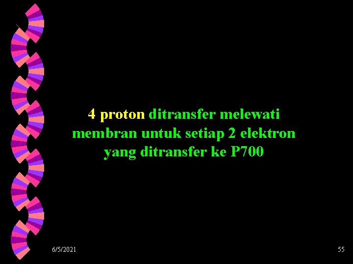 4 proton ditransfer melewati membran untuk setiap 2 elektron yang ditransfer ke P 700