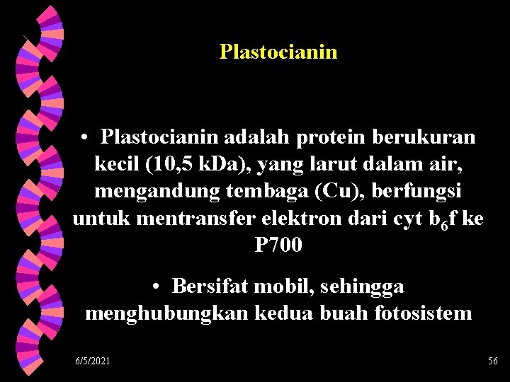 Plastocianin • Plastocianin adalah protein berukuran kecil (10, 5 k. Da), yang larut dalam