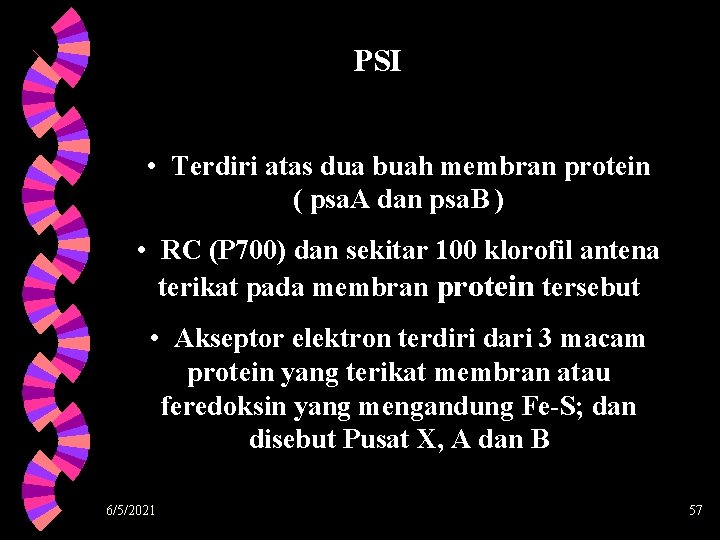 PSI • Terdiri atas dua buah membran protein ( psa. A dan psa. B