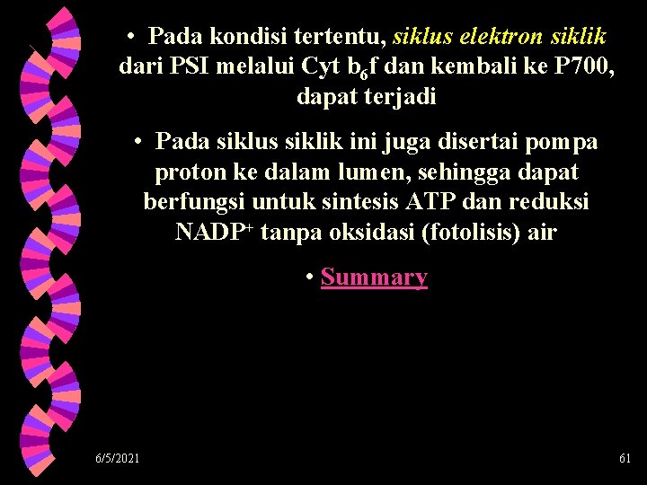  • Pada kondisi tertentu, siklus elektron siklik dari PSI melalui Cyt b 6