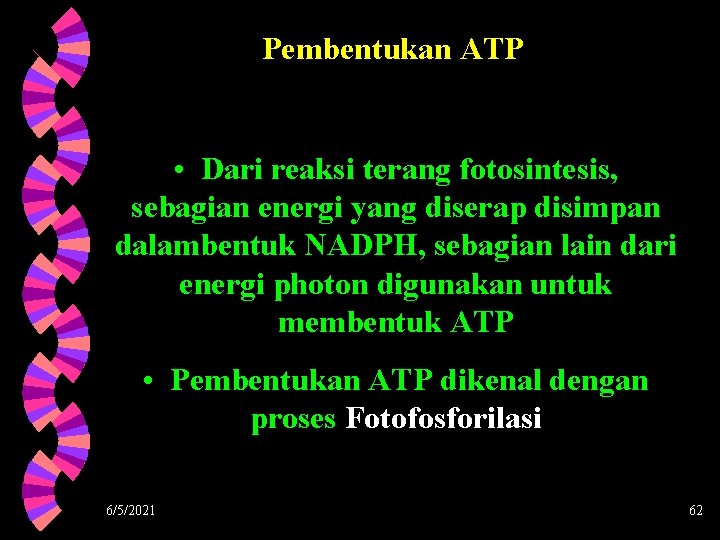 Pembentukan ATP • Dari reaksi terang fotosintesis, sebagian energi yang diserap disimpan dalambentuk NADPH,
