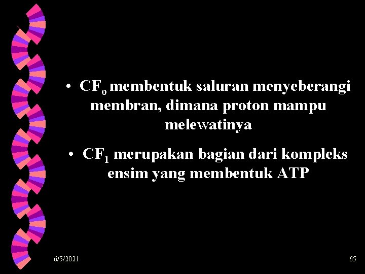  • CFo membentuk saluran menyeberangi membran, dimana proton mampu melewatinya • CF 1