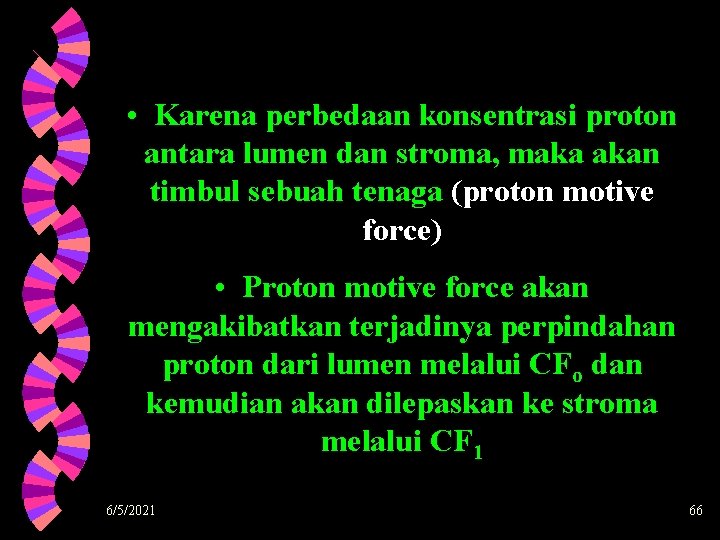  • Karena perbedaan konsentrasi proton antara lumen dan stroma, maka akan timbul sebuah