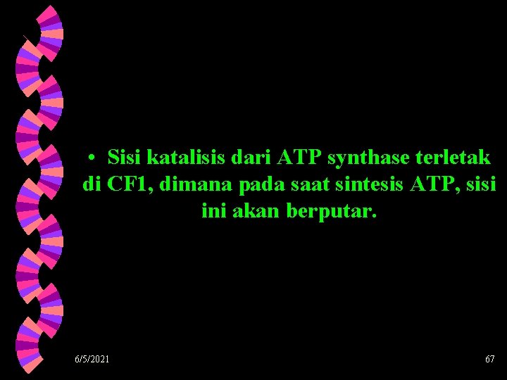  • Sisi katalisis dari ATP synthase terletak di CF 1, dimana pada saat