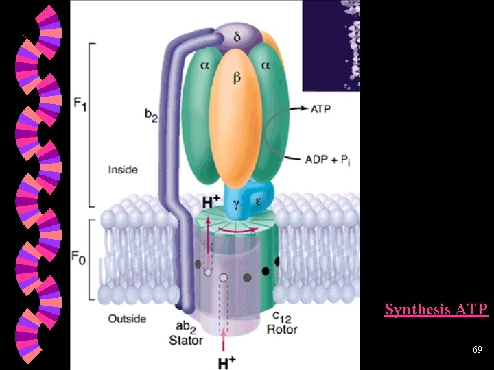 Synthesis ATP 6/5/2021 69 