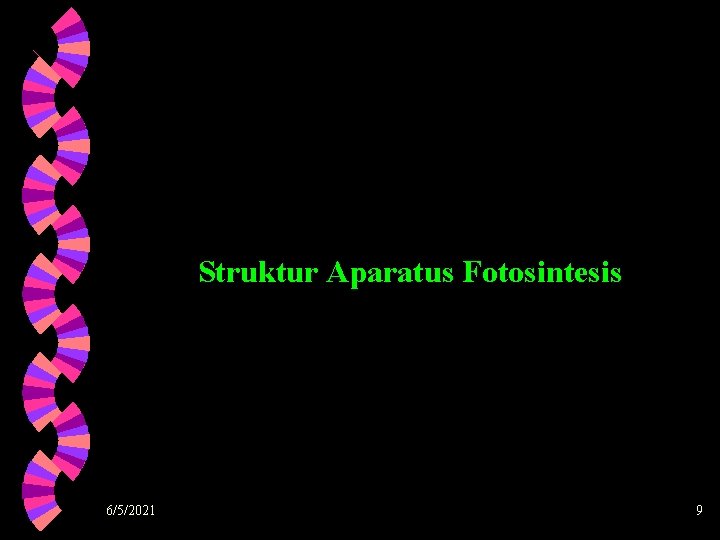 Struktur Aparatus Fotosintesis 6/5/2021 9 