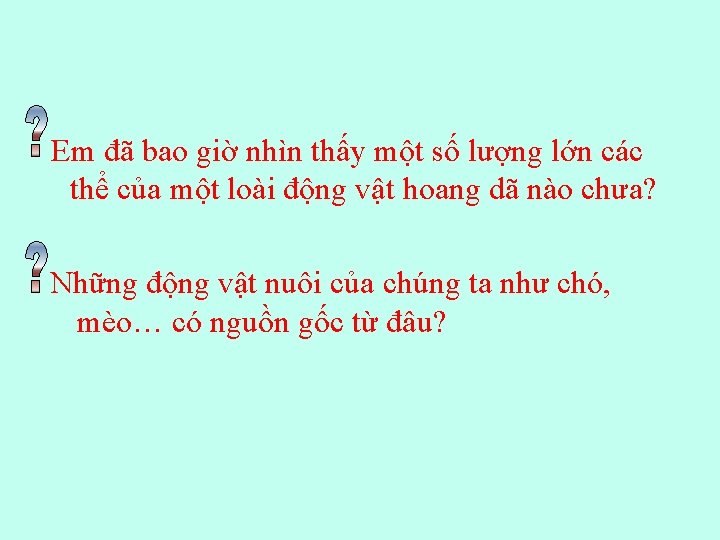 Em đã bao giờ nhìn thấy một số lượng lớn các thể của một