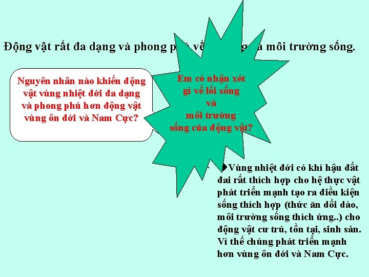 Động vật rất đa dạng và phong phú về lối sống và môi trường