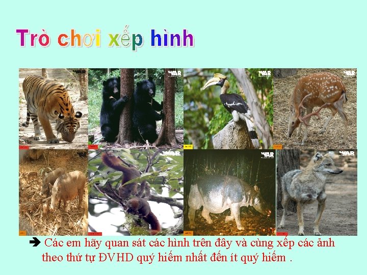  Các em hãy quan sát các hình trên đây và cùng xếp các