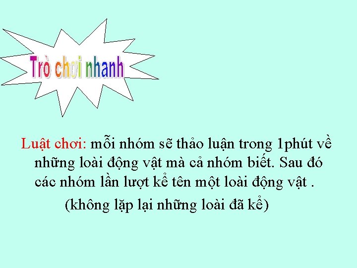 Luật chơi: mỗi nhóm sẽ thảo luận trong 1 phút về những loài động