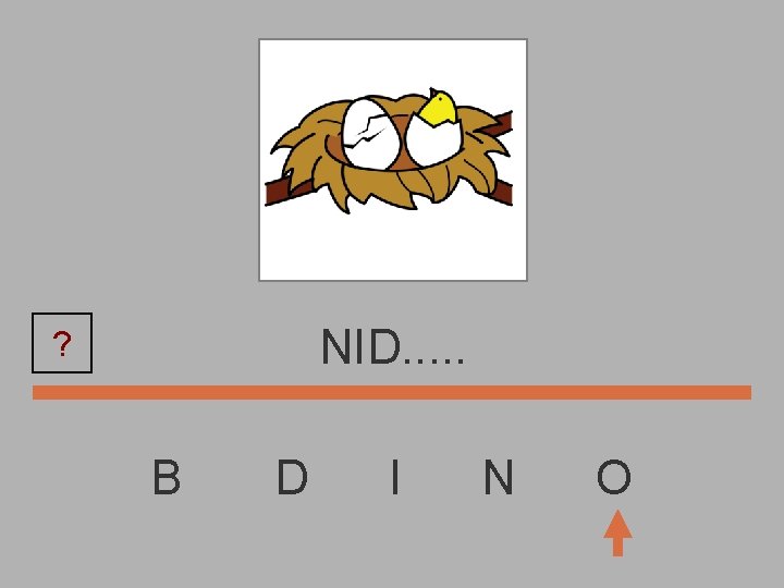 NID. . . ? B D I N O 