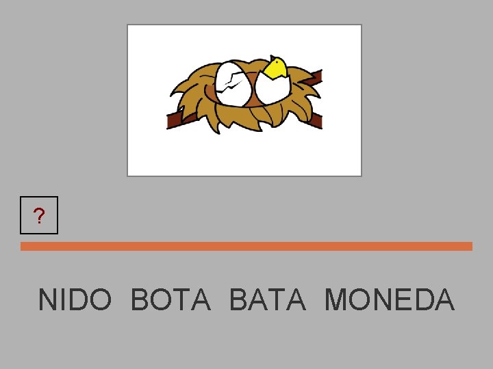 ? NIDO BOTA BATA MONEDA 