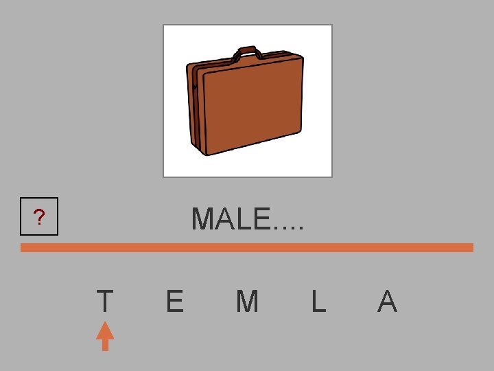 MALE. . ? T E M L A 