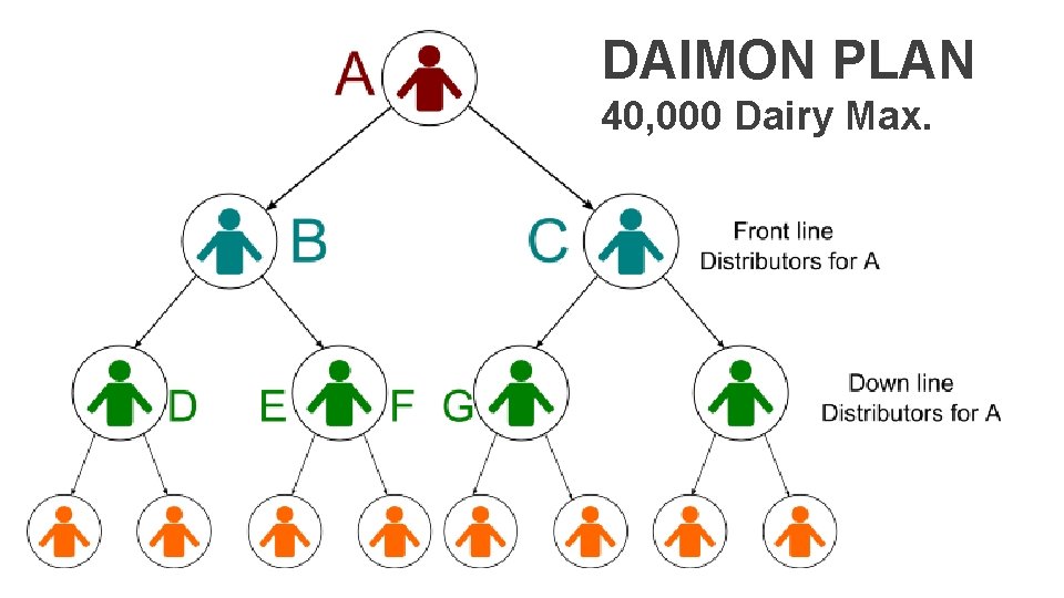 DAIMON PLAN 40, 000 Dairy Max. 