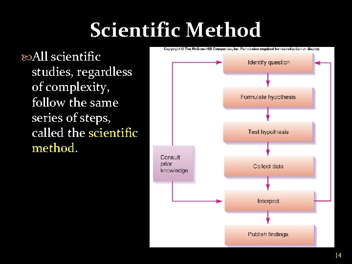 Scientific Method All scientific studies, regardless of complexity, follow the same series of steps,