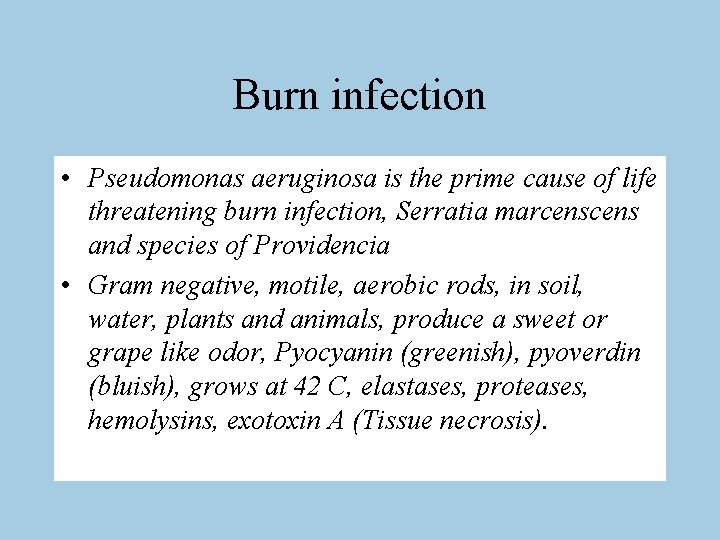 Burn infection • Pseudomonas aeruginosa is the prime cause of life threatening burn infection,