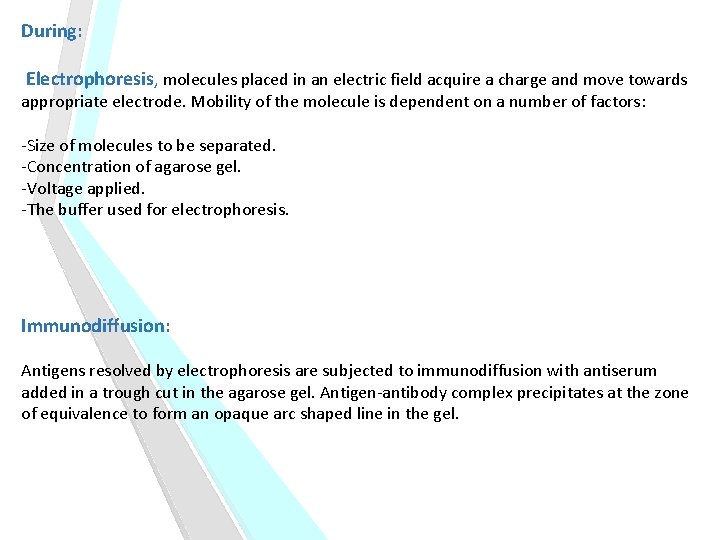 During: Electrophoresis, molecules placed in an electric field acquire a charge and move towards