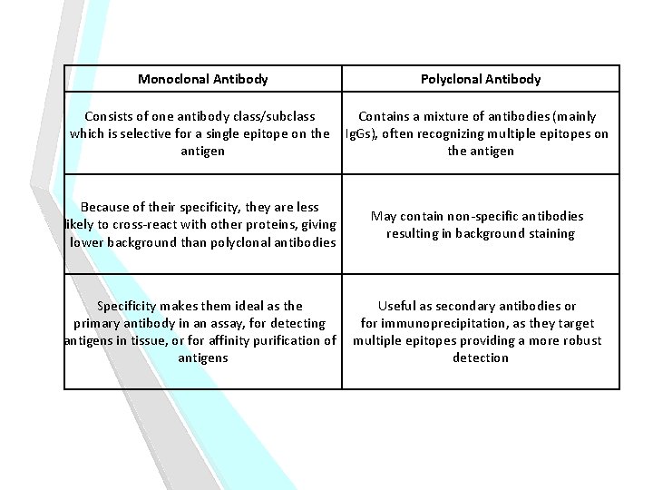 Monoclonal Antibody Polyclonal Antibody Consists of one antibody class/subclass which is selective for a