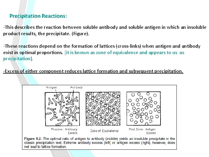 Precipitation Reactions: -This describes the reaction between soluble antibody and soluble antigen in which