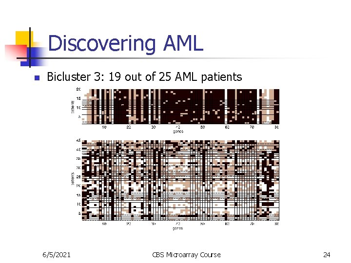 Discovering AML n Bicluster 3: 19 out of 25 AML patients 6/5/2021 CBS Microarray