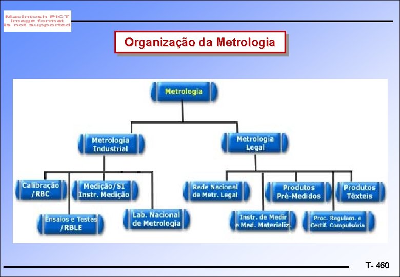 Organização da Metrologia T- 460 