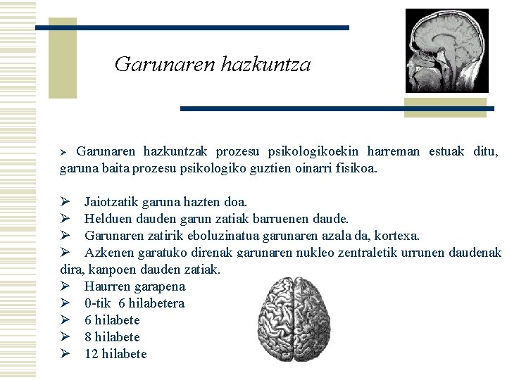 Garunaren hazkuntzak prozesu psikologikoekin harreman estuak ditu, garuna baita prozesu psikologiko guztien oinarri fisikoa.