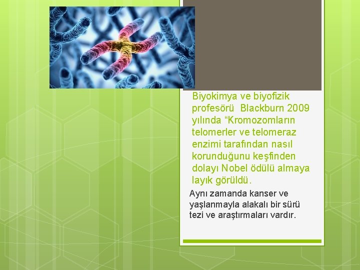 Biyokimya ve biyofizik profesörü Blackburn 2009 yılında “Kromozomların telomerler ve telomeraz enzimi tarafından nasıl