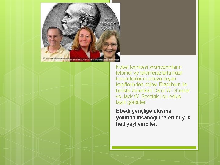 Nobel komitesi kromozomların telomer ve telomerazlarla nasıl korunduklarını ortaya koyan keşiflerinden dolayı Blackburn ile