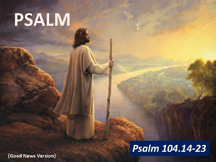 PSALM (Good News Version) Psalm 104. 14 -23 