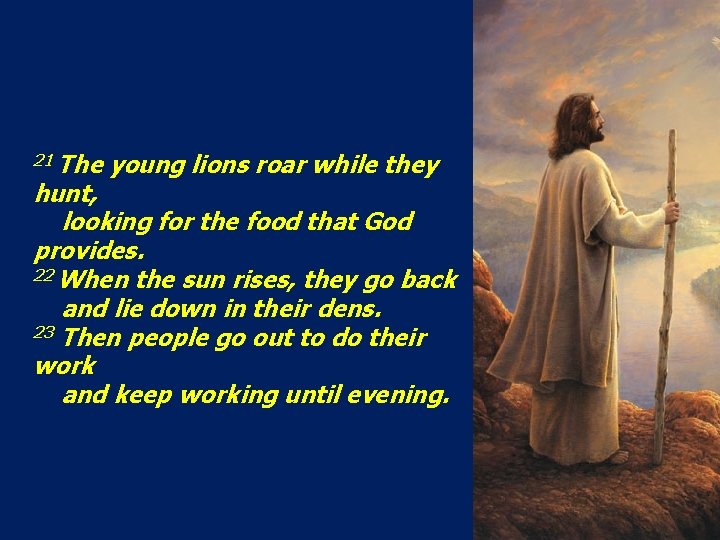 21 The young lions roar while they hunt, looking for the food that God