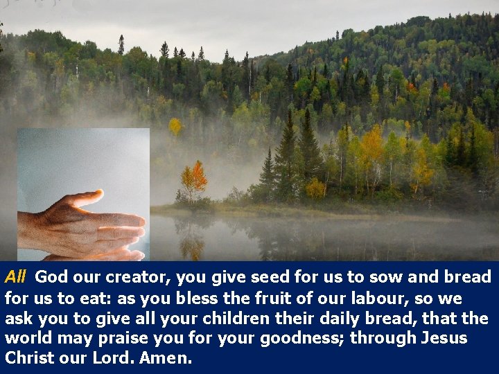 All God our creator, you give seed for us to sow and bread for