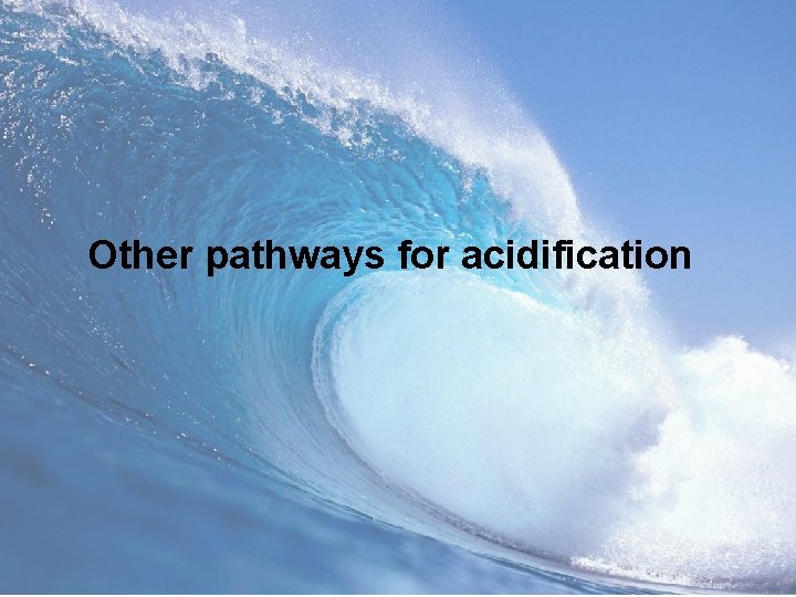 Other pathways for acidification 