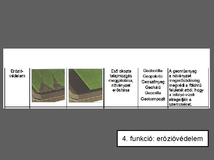 4. funkció: erózióvédelem 