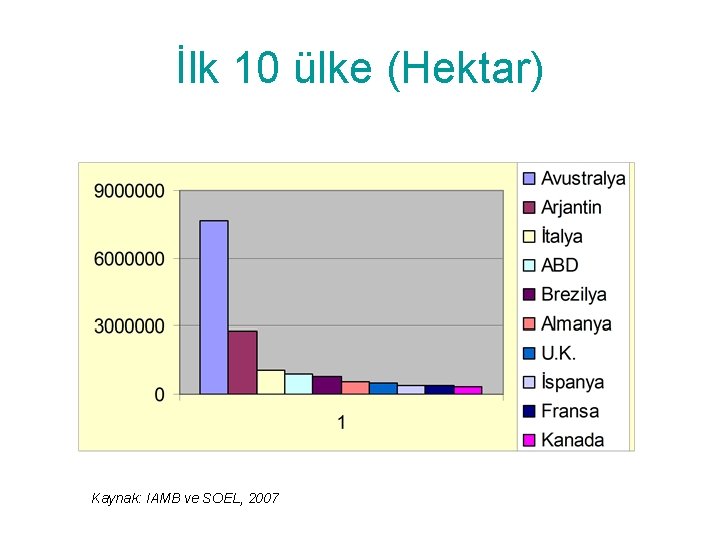 İlk 10 ülke (Hektar) Kaynak: IAMB ve SOEL, 2007 