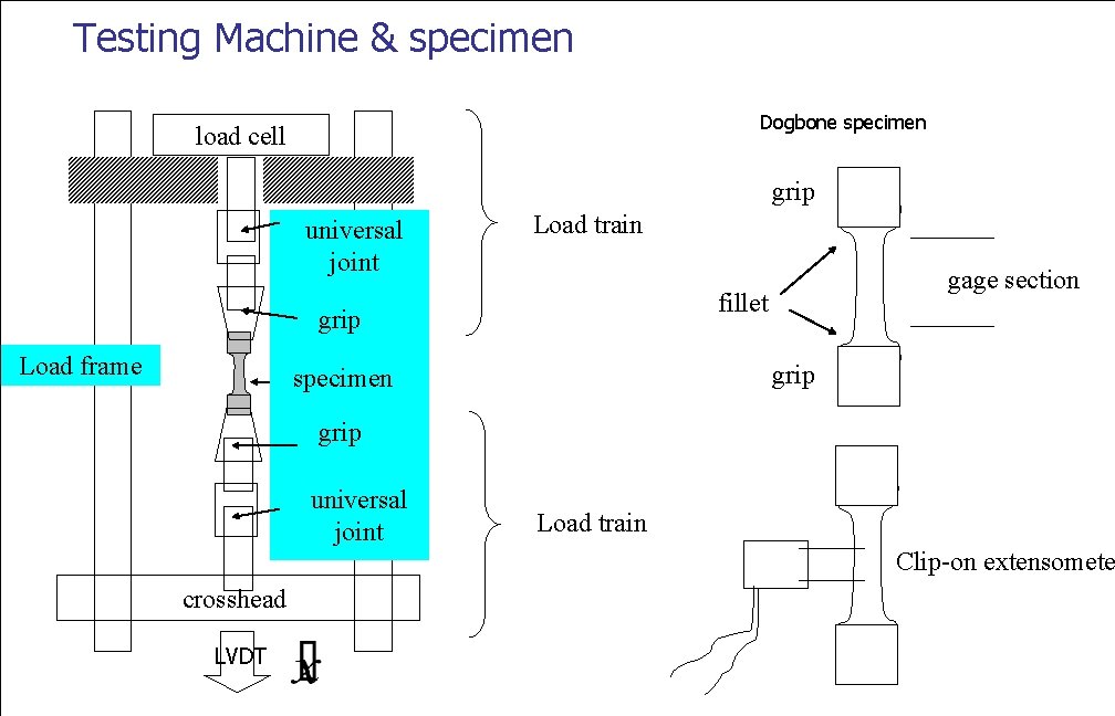 Testing Machine & specimen Dogbone specimen load cell grip universal joint Load train fillet