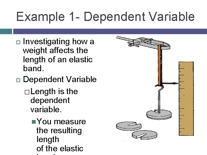 Example 1 - Dependent Variable Investigating how a weight affects the length of an